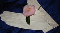 Wrist-length white ladies' gloves.
